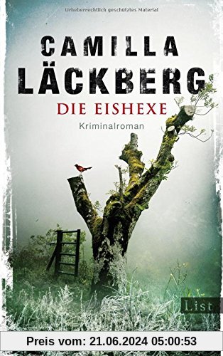 Die Eishexe: Kriminalroman (Ein Falck-Hedström-Krimi, Band 10)